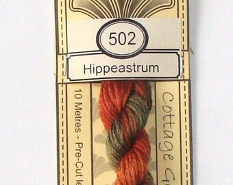 Cottage Garden Thread - 502 Hippeastrum