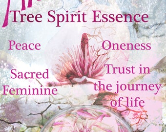 Magnolia Tree Spirit Essence