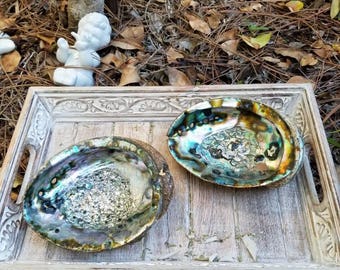 Abalone Shell Smudge 6"