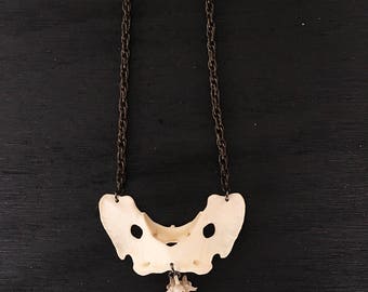 Coyote and Rattlesnake Vertebrae Necklace