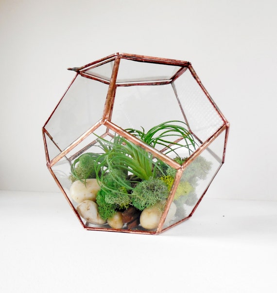 Dodecahedron Glass Terrarium With A Hinged Door