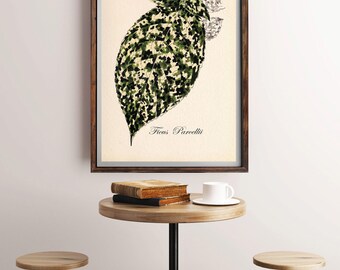 Ficus Plants, Vintage Botanical Print, Ficus Illustration Print, Ficus Parcellii, Antique Botanical Print, Floral Decor, Antique Color Print
