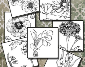Vintage botanical Flowers 5 in squares black white - 4 set Digital Collage Sheest, Download , Print Jpeg Clip Art Images