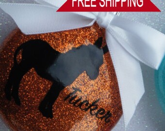 Donkey Christmas Ornaments - Personalized!