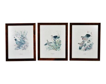 Vintage 1960's Field & Stream’s Game Birds Portfolio Ned Smith - Set of 3