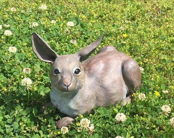 Harrison the Cottontail Rabbit