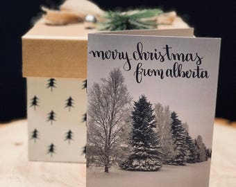 Snowy Trees