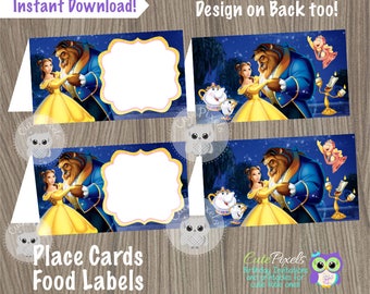 Disney Princess Place Cards Princess Birthday Disney