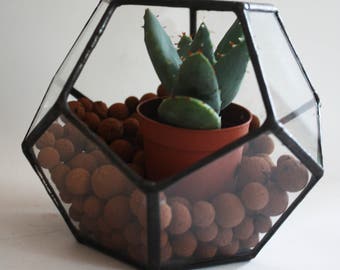 Little Geometric Terrarium / stained glass planter / candle holder / display box / dodecahedron