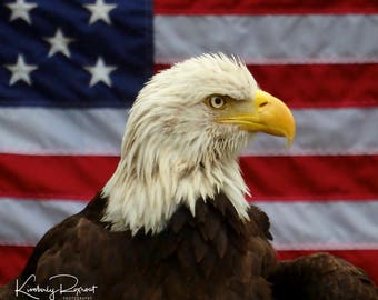 National Symbols - Nothing says America like our Flag and National Bird, the Bald Eagle.