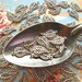 Silver Leaf Charms 19mm - Set of 20 - Antique Sliver Finish Leaves, Small Silver Leaf Pendants, Dual-Sided, Filigree Leaf Charms (SC0013)