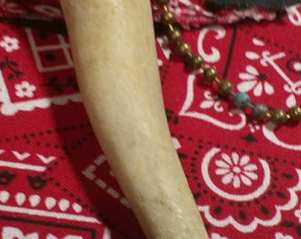 Deer Antler Light/Fan Pull with Chain