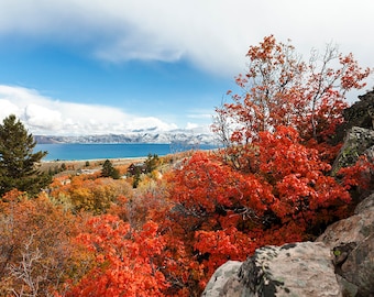 Brilliant Bear Lake Fall- Landscape Utah Photography 12x8