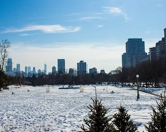 Chicago From Lincoln Park