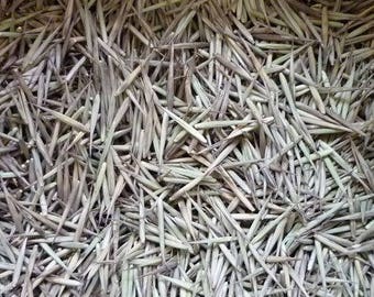 50 or 100 Moso Bamboo ( Phyllostachys Edulis ) Hardy & Rare Seeds. -4 Hardiness. Perennial Outdoor Evergreen Grass Plants for Humid Climates