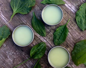 Plantain Salve, Nature's Bandaid, Skin Healing Salve, Organic Skincare, Herbal Salve, Medicinal Salve
