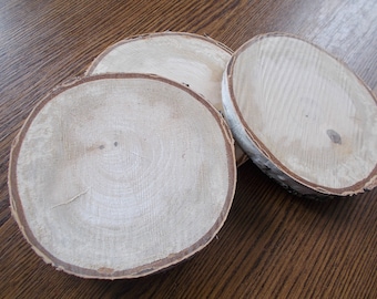 25 Wood slices, birch slices, 3.5-4.5'', table decor, wood decor, rustic wedding decor, tree Branch Slices for Craft, Natural Wood Slices
