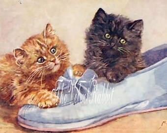 Digital download instant*CATS kittens,cat,blue shoe.Darling. Greeting cards, collage,decoupage,sewing,sachets,pillows,frame