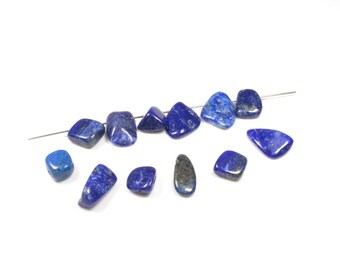 10 natural lapis lazuli LBP00356 chips beads