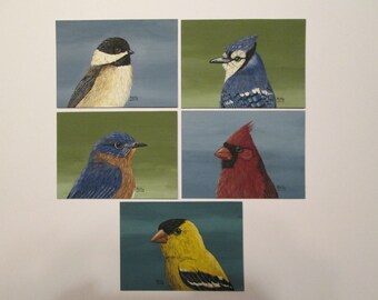 Set of 5 ACEO's from Songbird Series by Ann Kelly