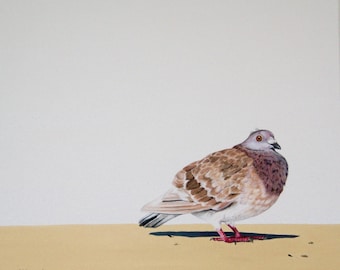 Priscilla, original painting of a pigeon acrylic on canvas