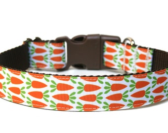 Easter Dog Collar 1" Spring Dog Collar