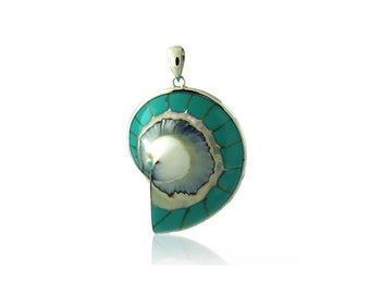 NAUTILUS SHELL