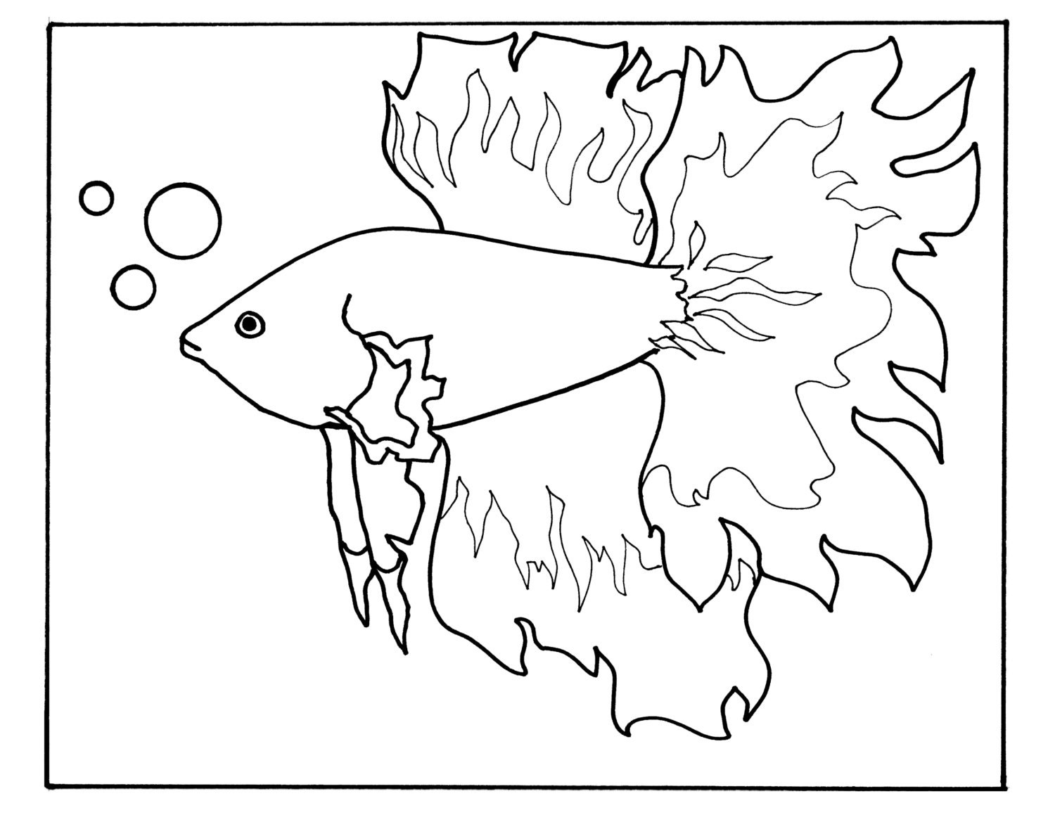 betta fish 3 8 5x11 coloring page nigeria flag