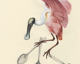 A spoonbill steals the silver. Collage print by Vivienne Strauss.