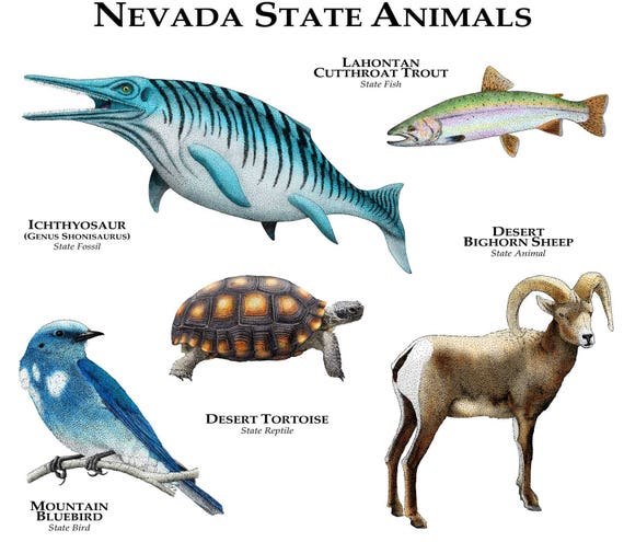 nevada-state-animals