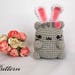 Pusheen with bunny ear amigurumi crochet doll PATTERN- Pusheen cat amigurumi PATTERN