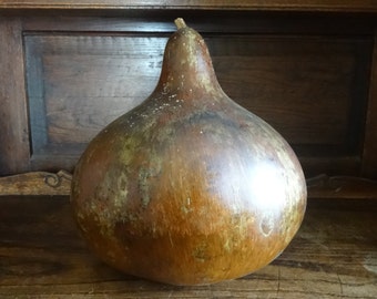 Vintage French Dried Gourd Fruit Vegetable Percussion Musical Instrument Maracas Shakers circa 1950-1960's / English Shop