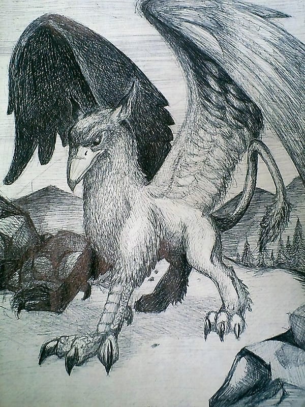 Griffin Gryphon Griffin Picture Unique drawing Printable