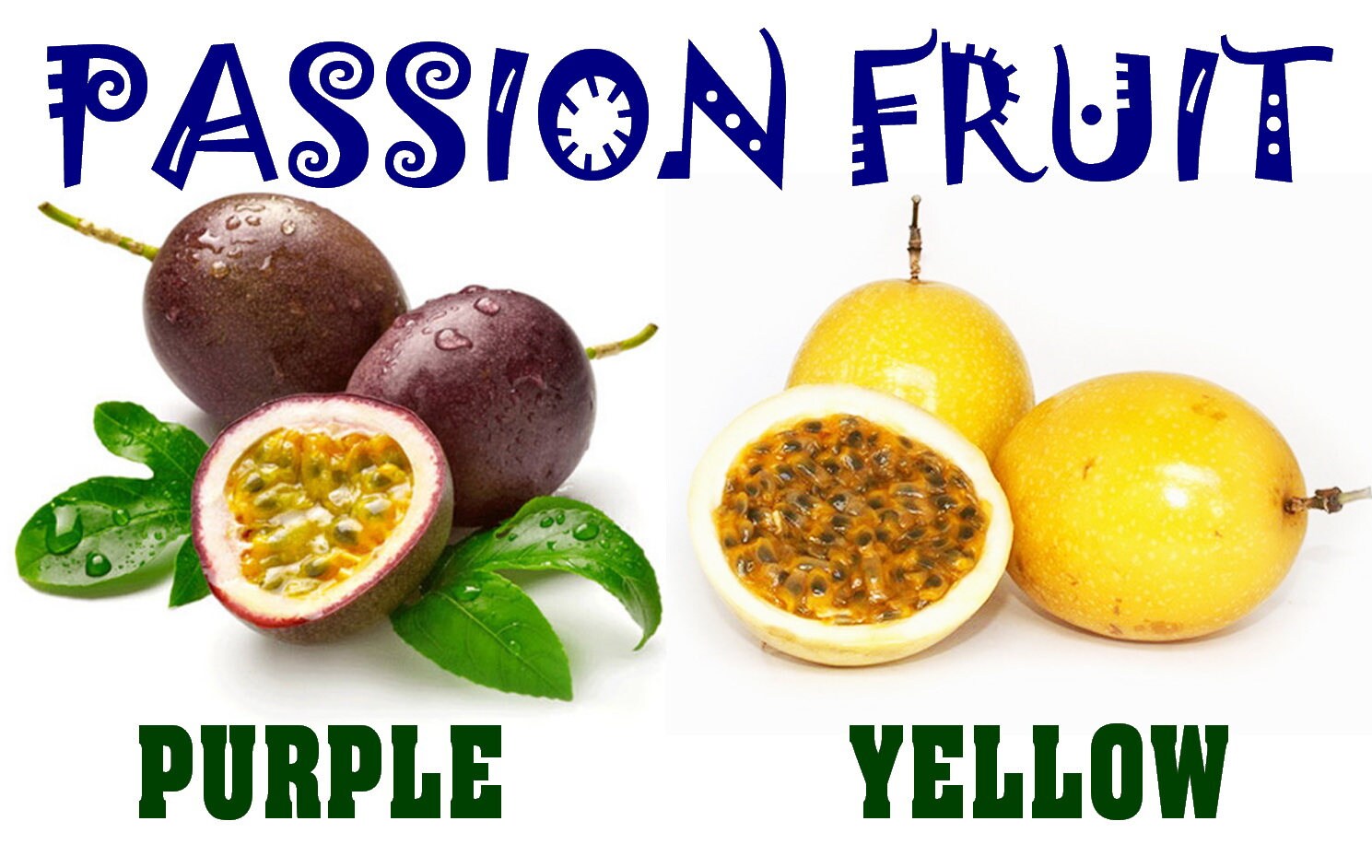 Yellow Vs Purple Passion Fruit