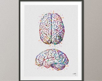Brain Anatomy Human Brain Watercolor Print Medical Science Art Anatomical Art Neurology Doctor Gift Nurse Science Print Psychological-974