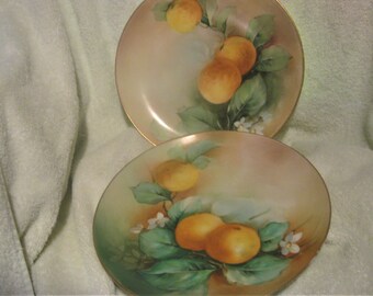 2 OLD RICHARD GINORI 0389 Orange Blossom Plates 9"