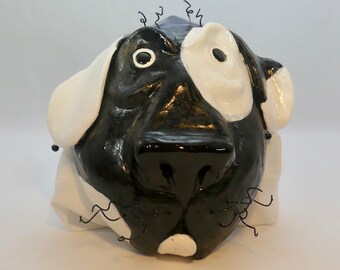 Black & White Spotted Dog