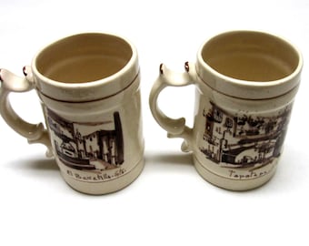 Beer Mug Stein Tepetapa El Baratillo Guanajuato Souvenir Mexican Coffee Cup Tankard