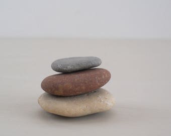 Trio of Natural Found Beach Rocks • Small Lake Michigan Ivory Grey Brown Rocks