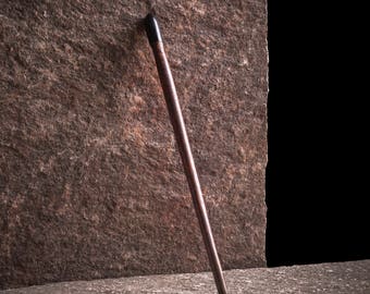 Purple heart and fossil palmtree wood hair stick