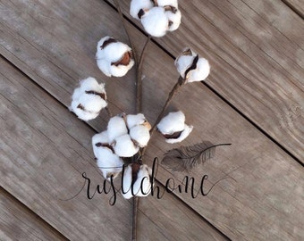 Cotton Stem / Cotton Branch / Cotton Floral Decor / Rustic Home Decor / Cotton Boll Ball / Stalk / Spray / Stem / Floral White / Farmhouse