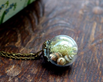 Seashells necklace - Terrarium jewelry - Terrarium necklace - Glass orb pendant - Glass vial necklace - Beach jewelry - Nautical Jewelry