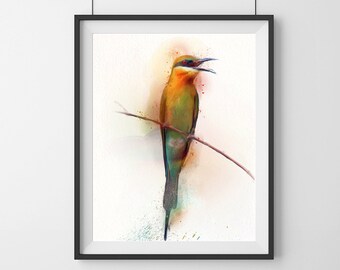 Watercolour Bird Print - Exotic - Bird Print - multicolored