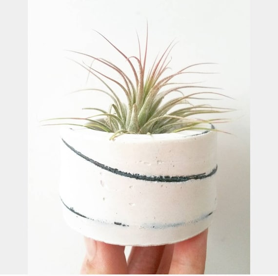 White Concrete Air Planter,Modern planter,Cactus Planter,Air Plant, Ring Dish,Desk Planter, candle holder,Plant lover, Mini Planter