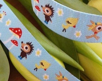 Hedgehog 15mm the meter farbenmix Ribbon