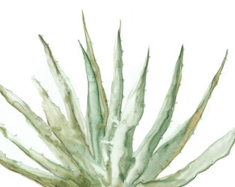 Original 5 x 7 inch watercolor painting of a cactus plant