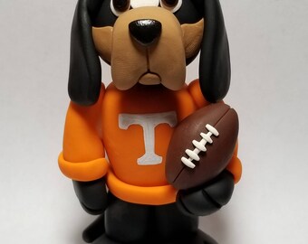 Tennessee Smokey Mascot