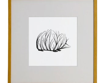 Contemporary Hedgehog Print