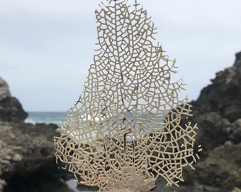 Sea Fan, Sea Fan Art, Natural Sea Fans, Sea Fan Coral, Caribbean Fans, Beach Decor, Beach Wedding, Coastal Decor, Coral Stem, Nautical, Fan