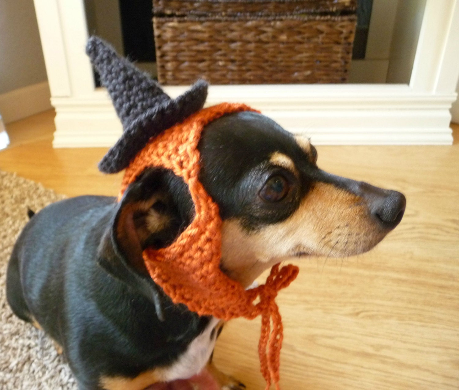 Dog Halloween Costume CROCHET PATTERN Dog Costume Witch